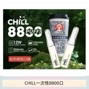 10種口味｜鴨嘴獸CHILL 8800口一次性電子菸 8ml大容量煙油