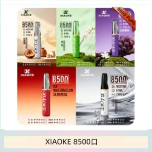 梟客XIAOKE一次性電子菸拋棄式8500口